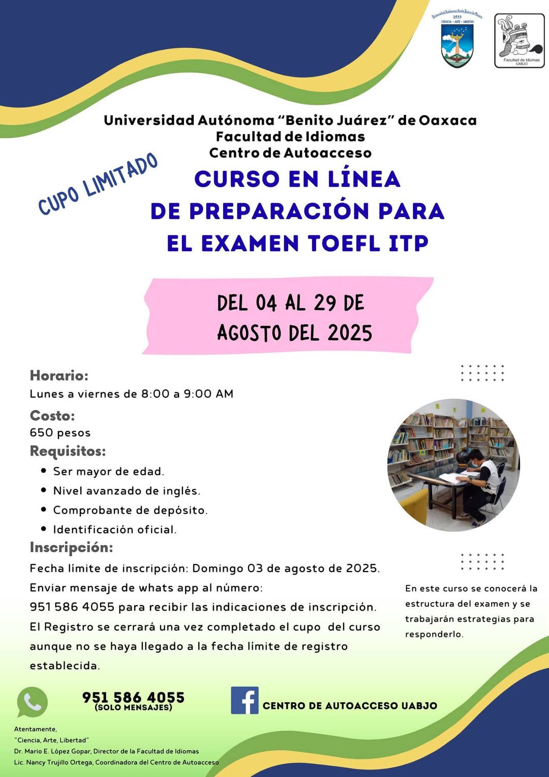 Curso en Línea 2025